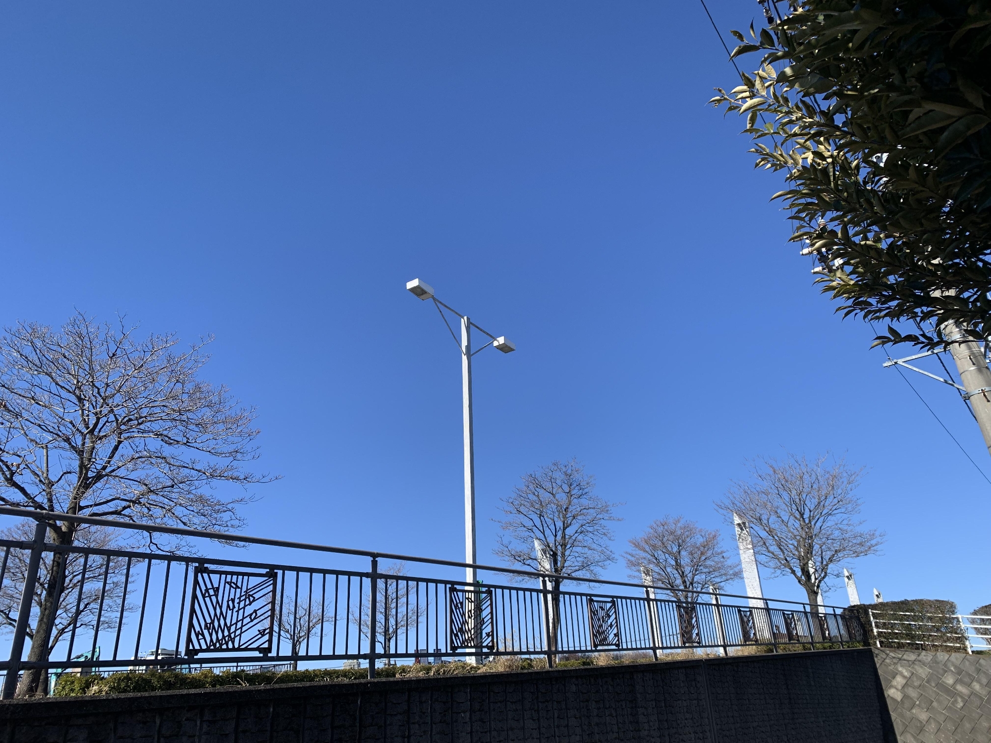 カルディ ミニチュアハンドバッグ缶