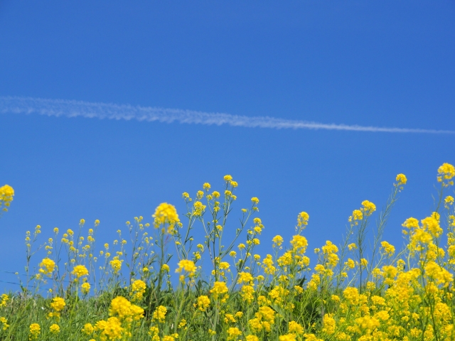 空