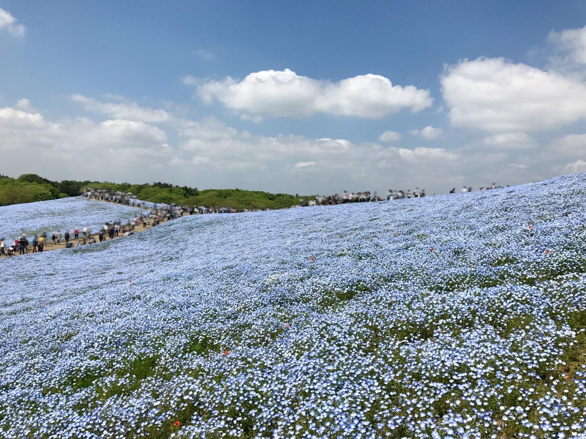 GW期間休業のお知らせ